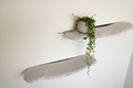 Set of two organic concrete wall shelves mounted on a white wall